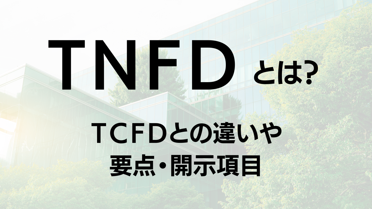 TNFDとは？TCFDとの違いや要点・開示項目をわかりやすく解説